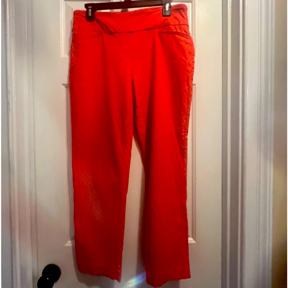 Attyre pants size 10